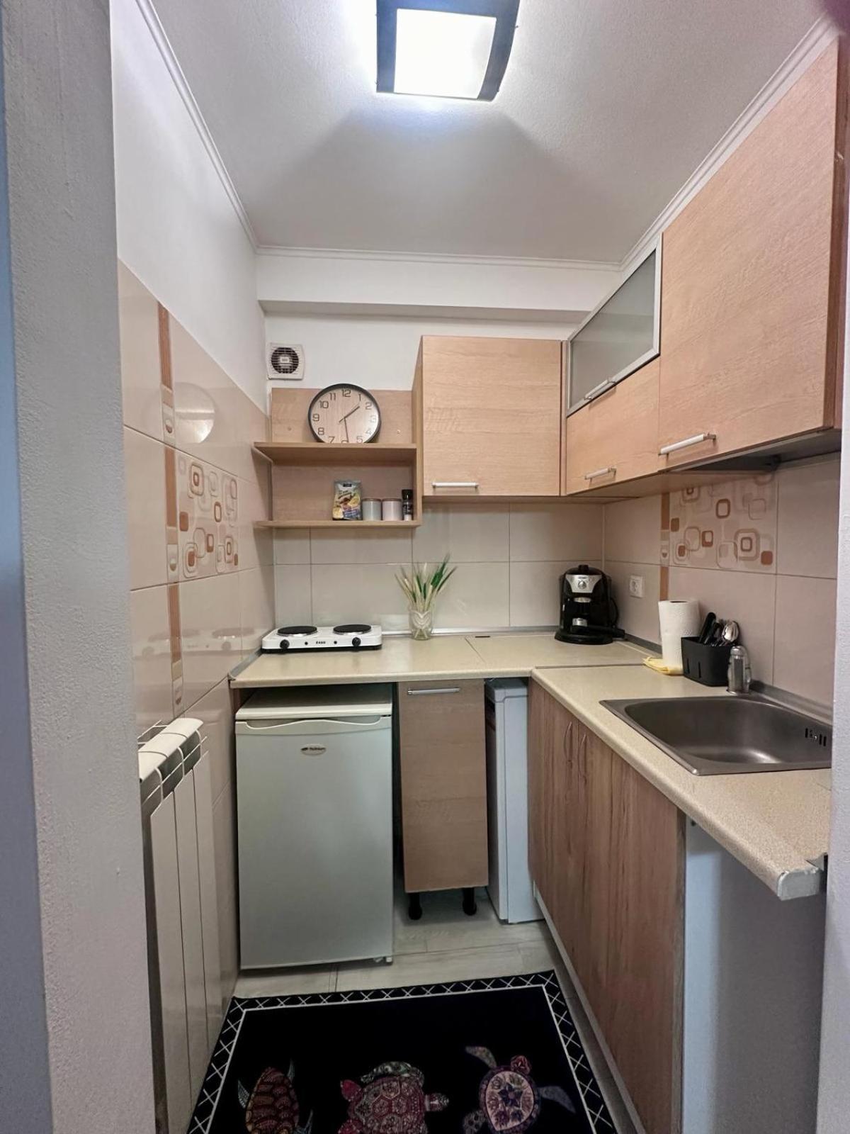 Downtown Studio Calea Victoriei Ultracentral Бухарест Екстер'єр фото