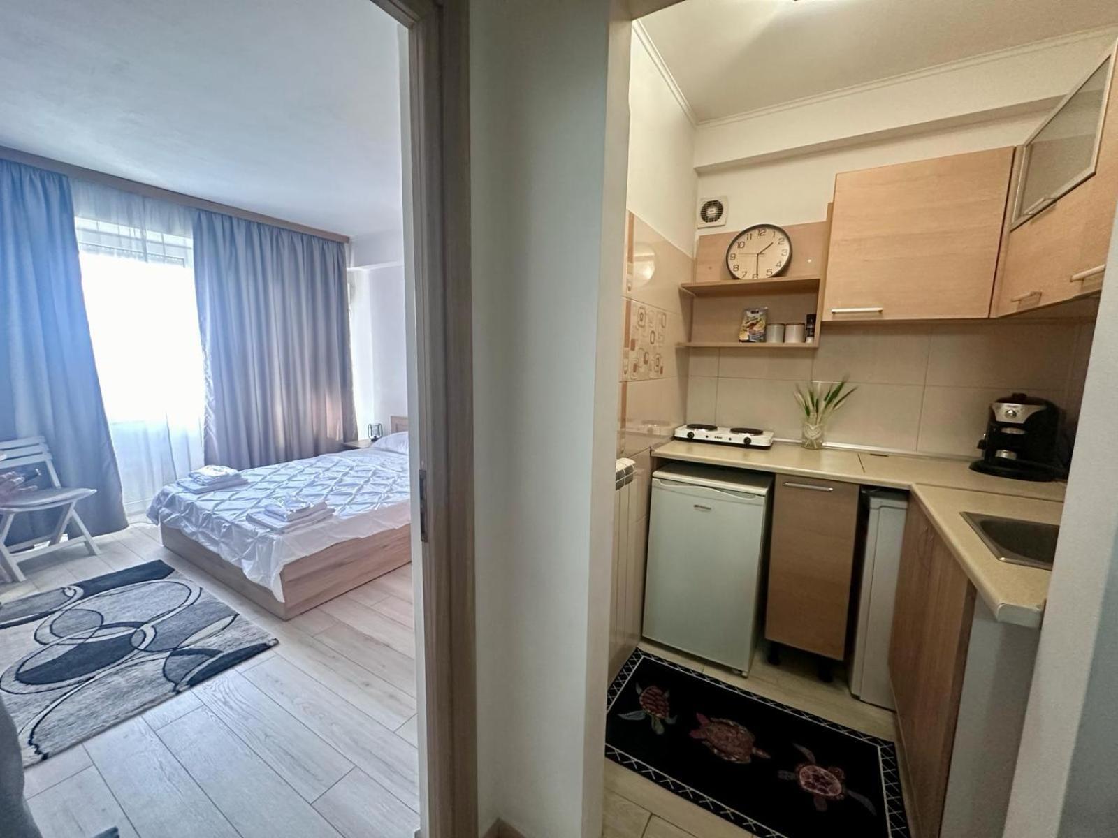 Downtown Studio Calea Victoriei Ultracentral Бухарест Екстер'єр фото